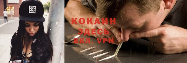 дживик Белокуриха