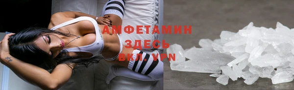 дживик Белокуриха
