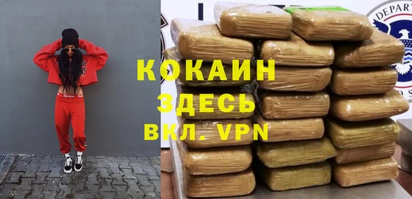 дживик Белокуриха